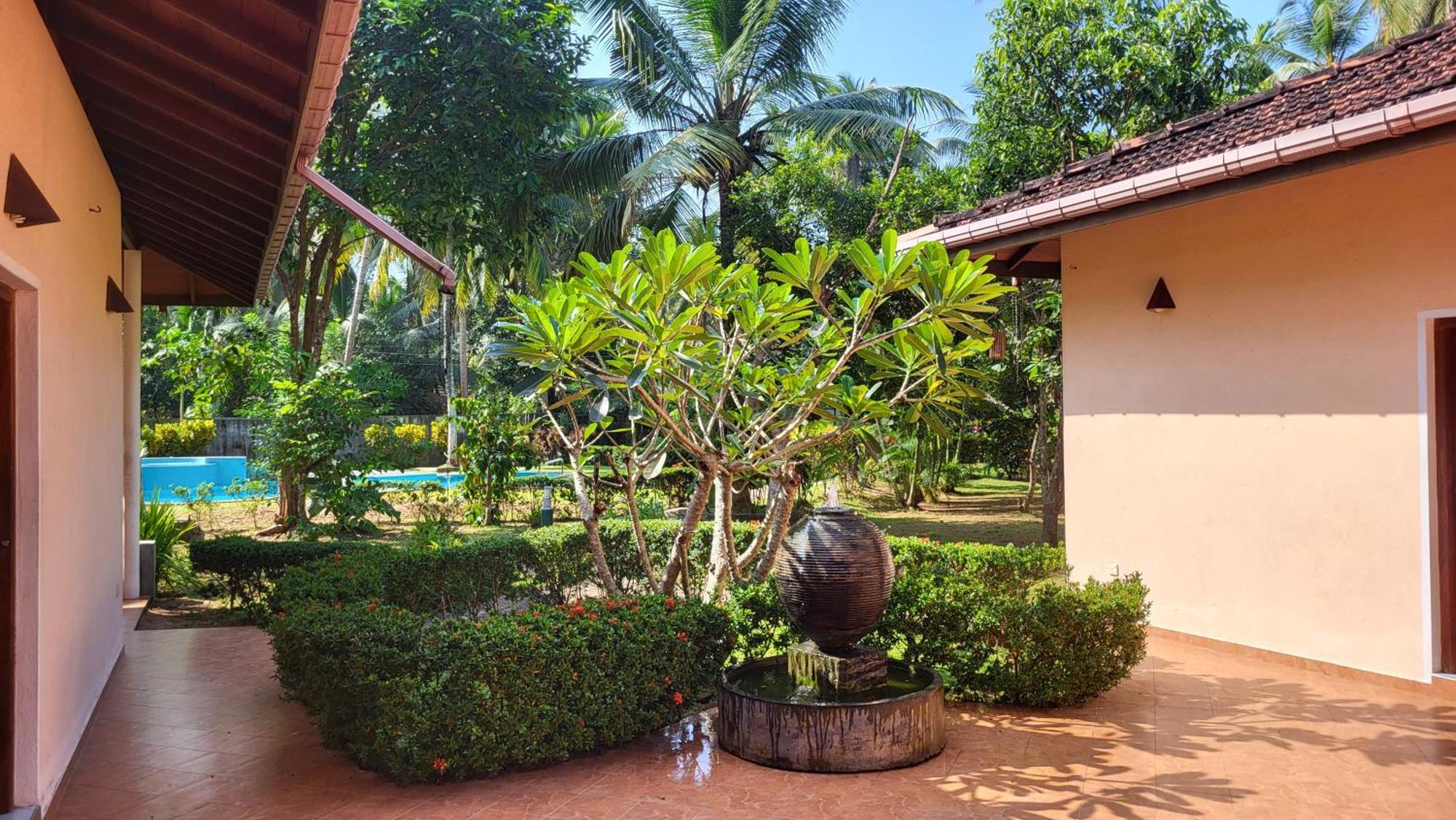 King Coconut Lodge Habaraduwa Central Exterior foto