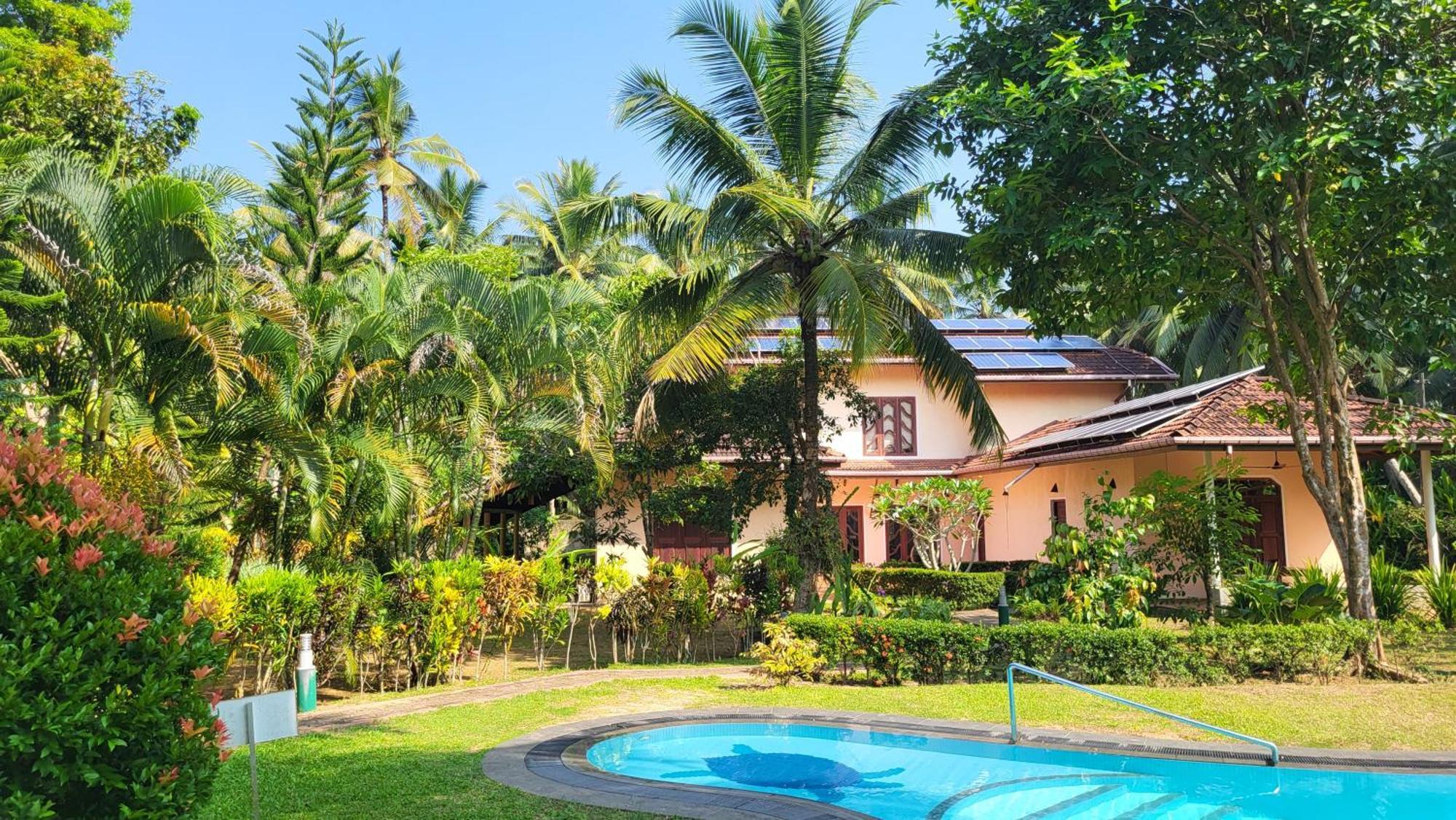 King Coconut Lodge Habaraduwa Central Exterior foto